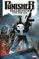 Punisher Collection von Jim Lee