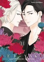 Yoshie Kaoruhara - Kei x Yaku: Gefährliche Partner 11, Häftad