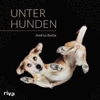 bokomslag Unter Hunden