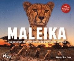 Matto Barfuss - Maleika, Inbunden