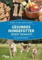 bokomslag Gesundes Hundefutter selbst gemacht