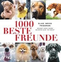 1000 beste Freunde 1