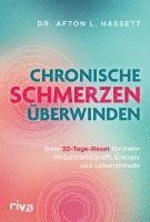 Afton L. Hassett - Chronische Schmerzen überwinden, Häftad