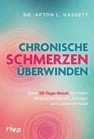 bokomslag Chronische Schmerzen überwinden