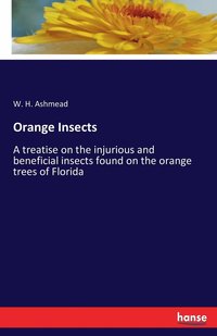 bokomslag Orange Insects