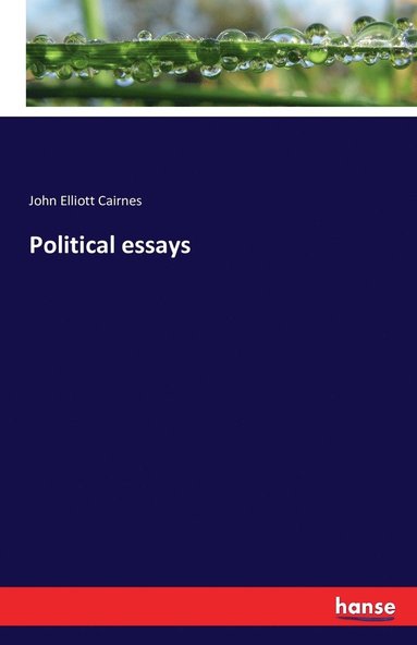 bokomslag Political essays