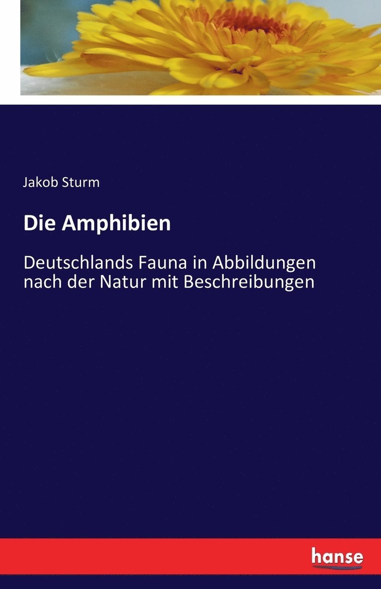 Die Amphibien 1