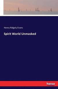 bokomslag Spirit World Unmasked