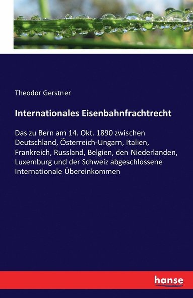 bokomslag Internationales Eisenbahnfrachtrecht