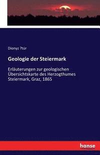bokomslag Geologie der Steiermark