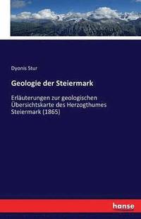 bokomslag Geologie der Steiermark
