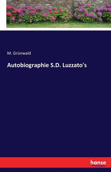 bokomslag Autobiographie S.D. Luzzato's