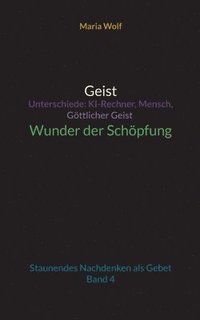 bokomslag Geist - Unterschiede