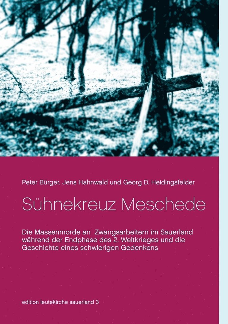 Peter Bürger, Jens Hahnwald, Georg D Heidingsfelder, Georg D. Heidingsfelder - Sühnekreuz Meschede, Häftad