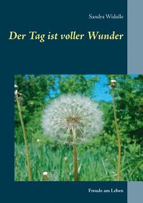 bokomslag Tag ist voller Wunder