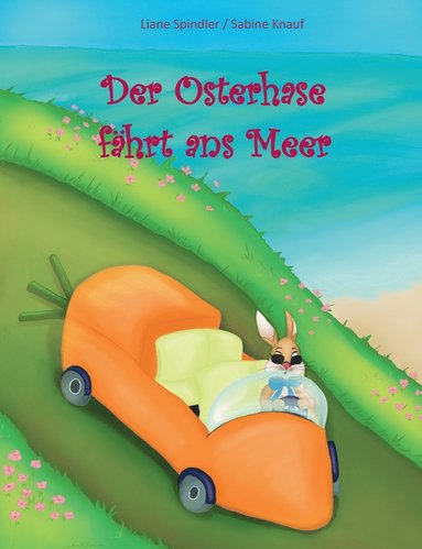 bokomslag Der Osterhase fhrt ans Meer