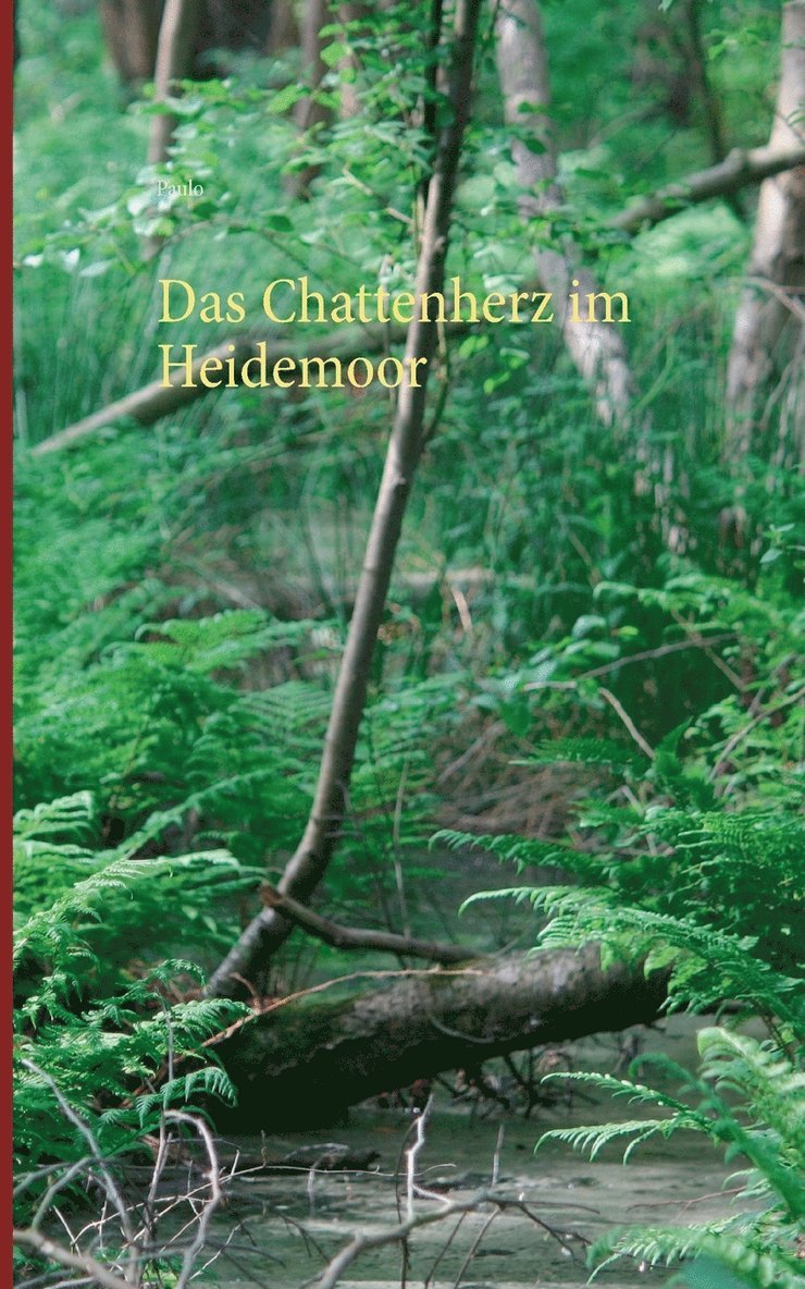Thomas Wenig - Chattenherz im Heidemoor, Häftad