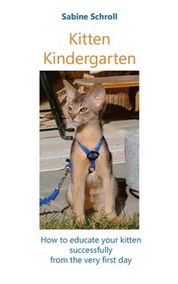 bokomslag Kitten Kindergarten