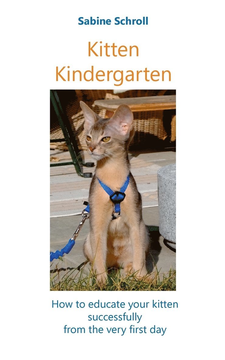 Kitten Kindergarten 1