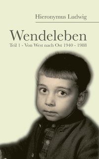bokomslag Wendeleben