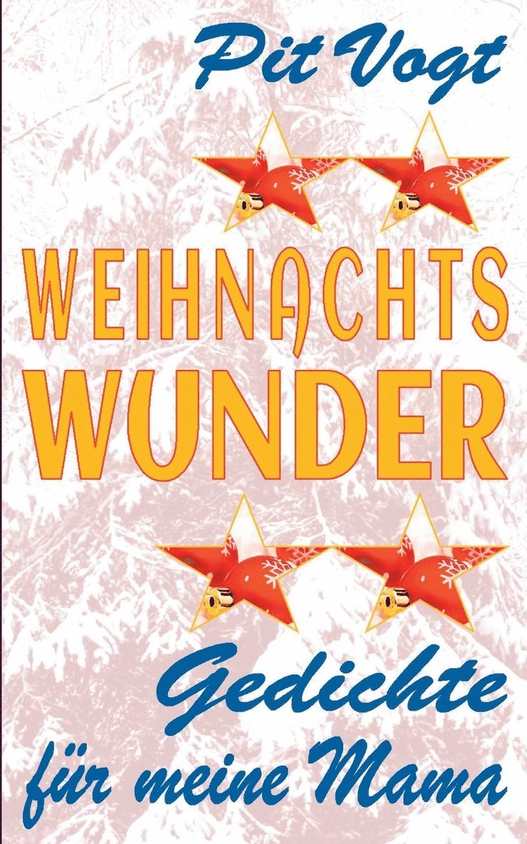 Weihnachts Wunder 1