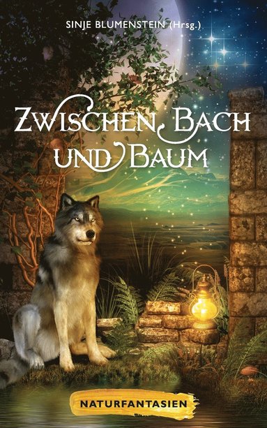 bokomslag Zwischen Bach und Baum