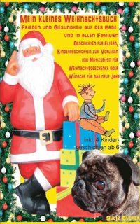 bokomslag Mein kleines Weihnachtsbuch - Frieden und Gesundheit auf der Erde und in allen Familien