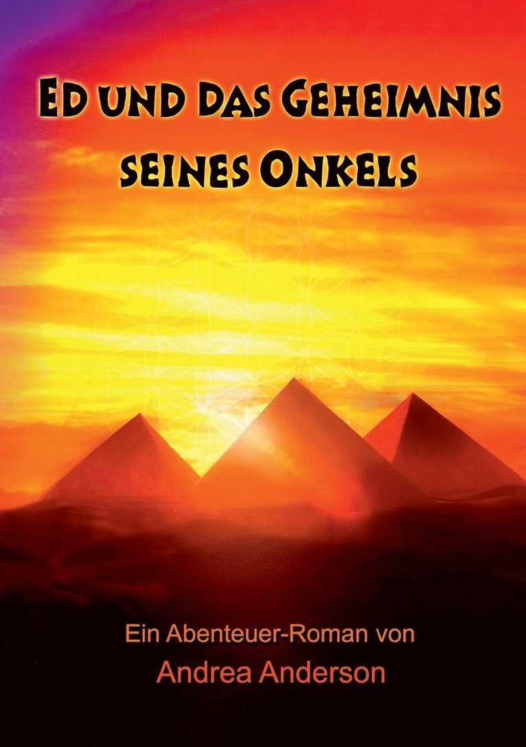 Andrea Anderson - Ed und das Geheimnis seines Onkels, Häftad