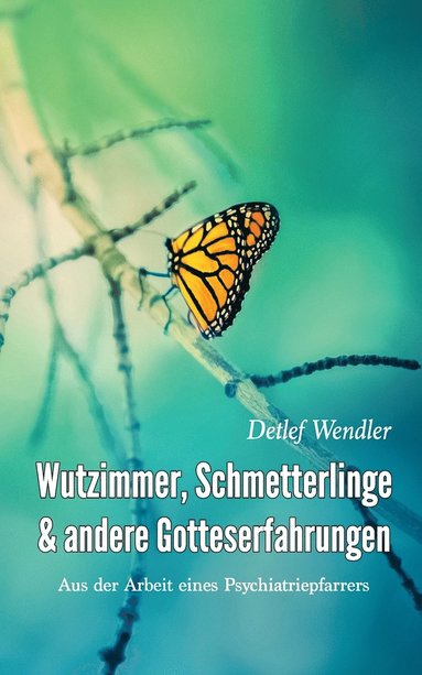 bokomslag Wutzimmer, Schmetterlinge und andere Gotteserfahrungen