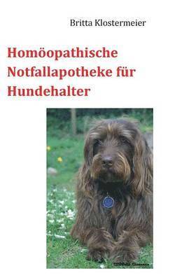 Britta Klostermeier - Homöopathische Notfallapotheke für Hundehalter, Häftad