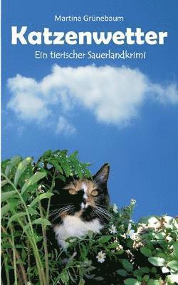 Katzenwetter 1