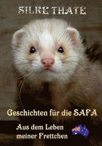 bokomslag Geschichten für die Safa