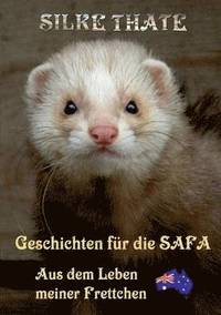 bokomslag Geschichten fur die Safa