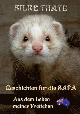 bokomslag Geschichten für die Safa