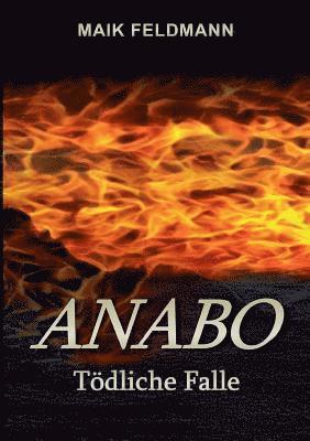 Maik Feldmann - Anabo, Häftad