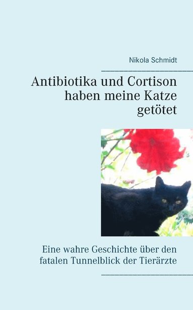 bokomslag Antibiotika und Cortison haben meine Katze gettet