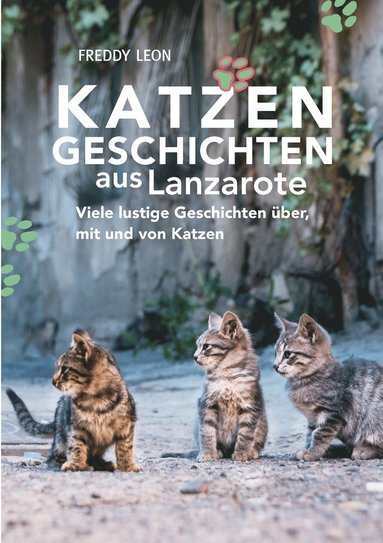 bokomslag Katzengeschichten aus Lanzarote