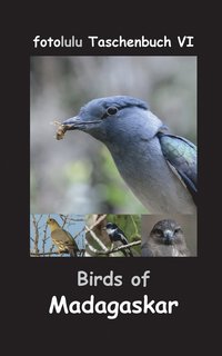 bokomslag Birds of Madagaskar