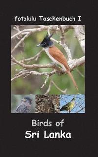 bokomslag Birds of Sri Lanka