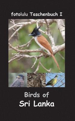 bokomslag Birds of Sri Lanka