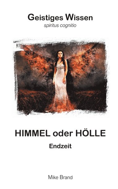 bokomslag Himmel oder Hlle