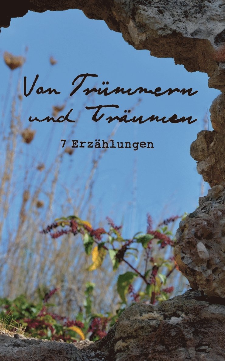 Kerstin Herzog - Von Trümmern und Träumen, Häftad