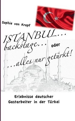 bokomslag Istanbul backstage... oder alles nur getürkt