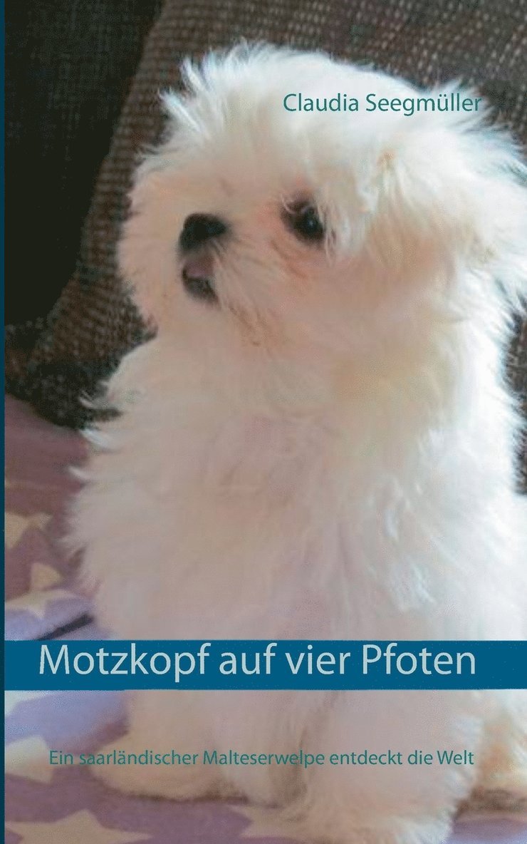 Motzkopf auf vier Pfoten 1