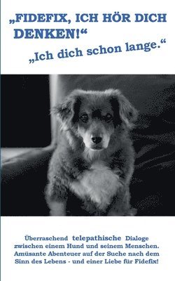Knut Koch - Fidefix, ich hör dich denken, Häftad