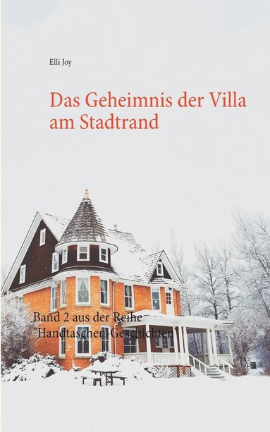 bokomslag Geheimnis der Villa am Stadtrand
