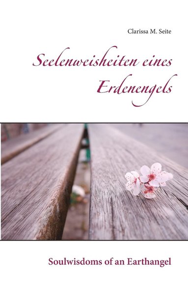 bokomslag Seelenweisheiten eines Erdenengels