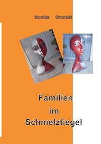 bokomslag Familien im Schmelztiegel