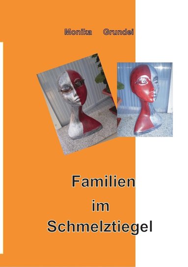 bokomslag Familien im Schmelztiegel