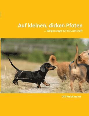 Auf kleinen, dicken Pfoten